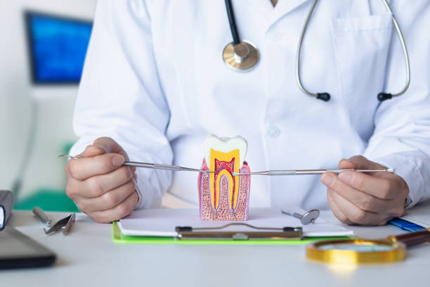 Best Emergency Dentist for Lost Fillings or Crowns in Rye Brook, NY